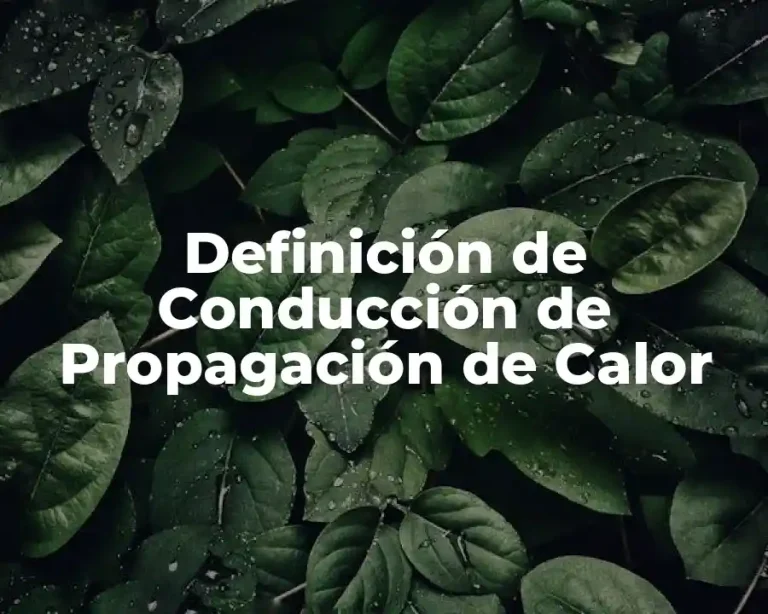 Definición de Conducción de Propagación de Calor