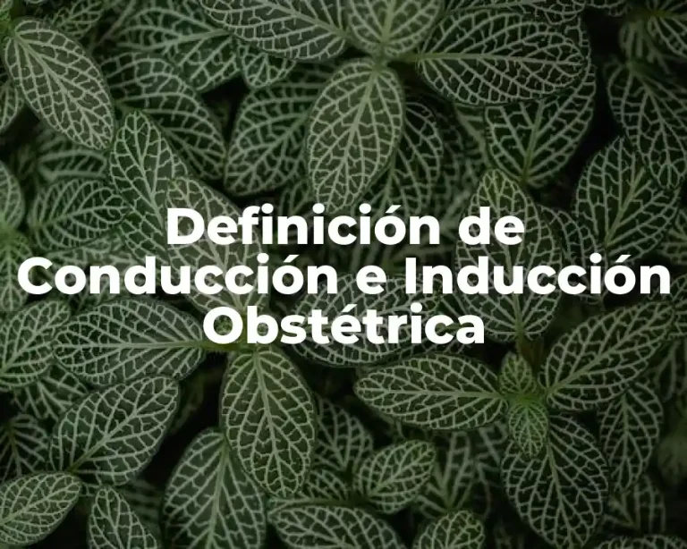 Definición de Conducción e Inducción Obstétrica