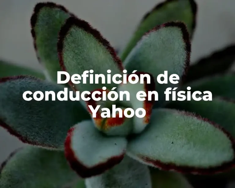 Definición de conducción en física Yahoo