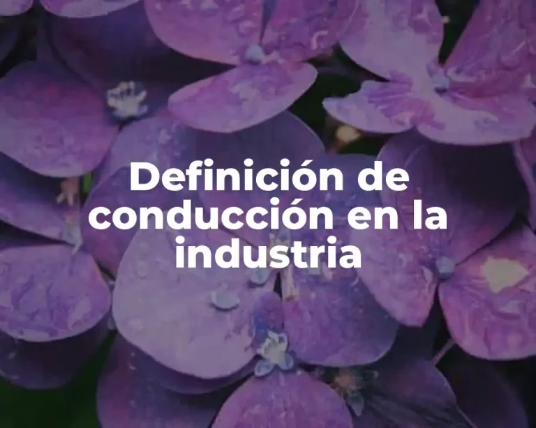 Definición de conducción en la industria