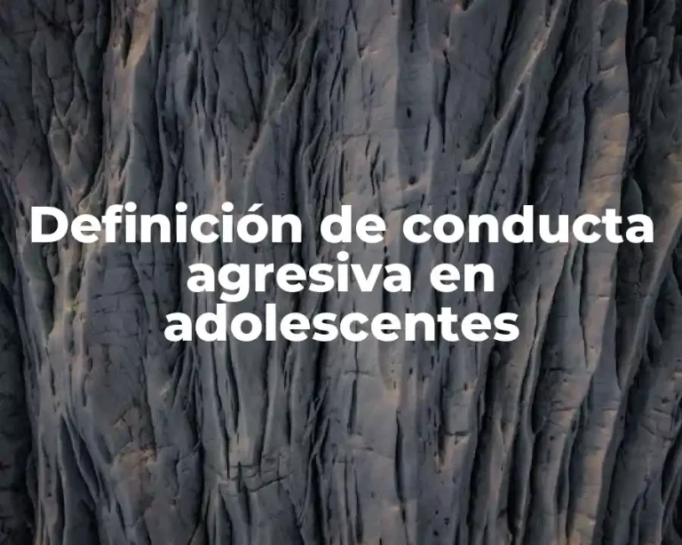 Definición de conducta agresiva en adolescentes