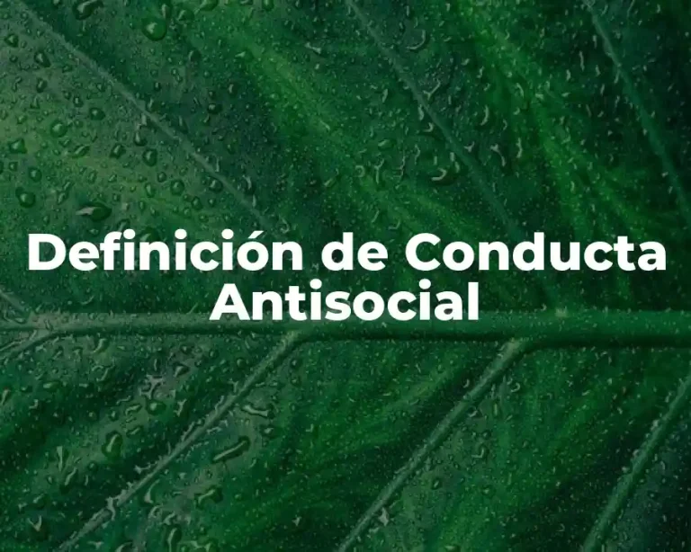 Definición de Conducta Antisocial