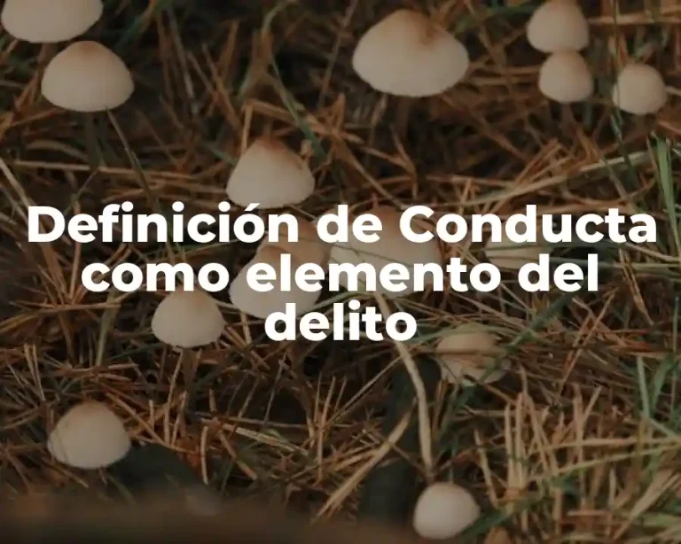 Definición de Conducta como elemento del delito