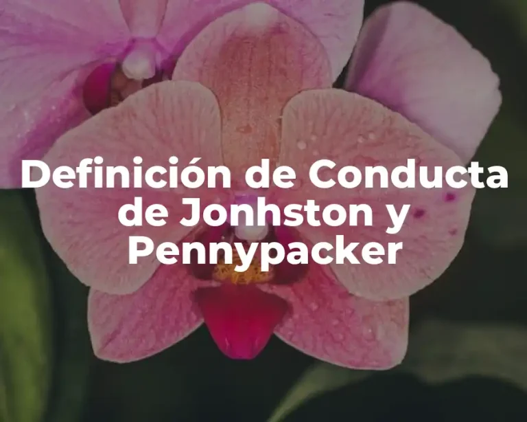 Definición de Conducta de Jonhston y Pennypacker