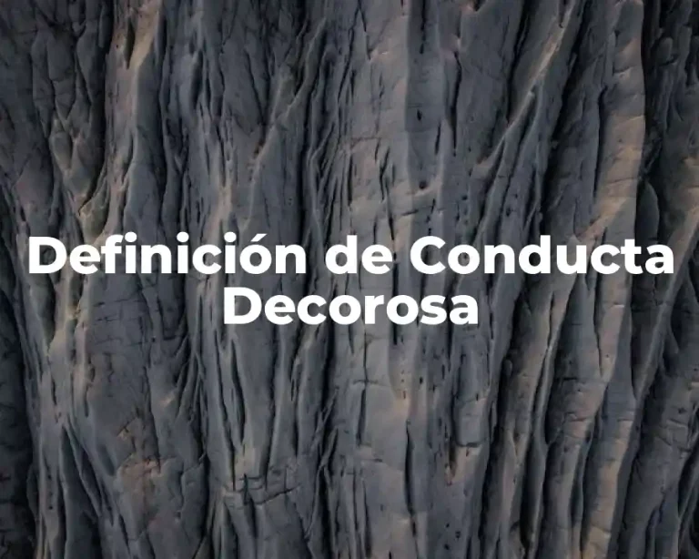 Definición de Conducta Decorosa
