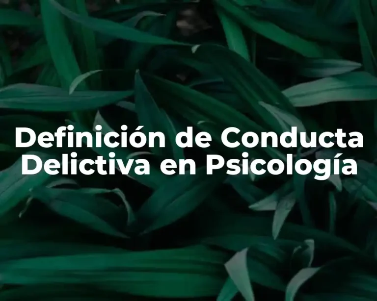 Definición de Conducta Delictiva en Psicología