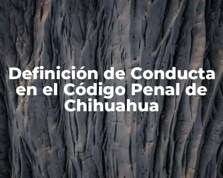 Definición de Conducta en el Código Penal de Chihuahua