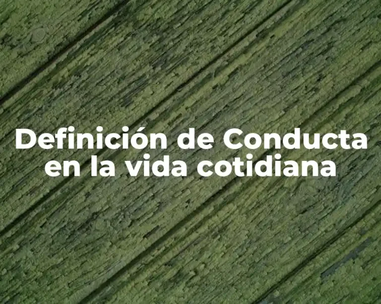 Definición de Conducta en la vida cotidiana
