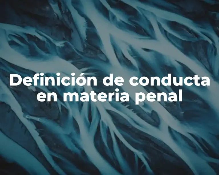 Definición de conducta en materia penal