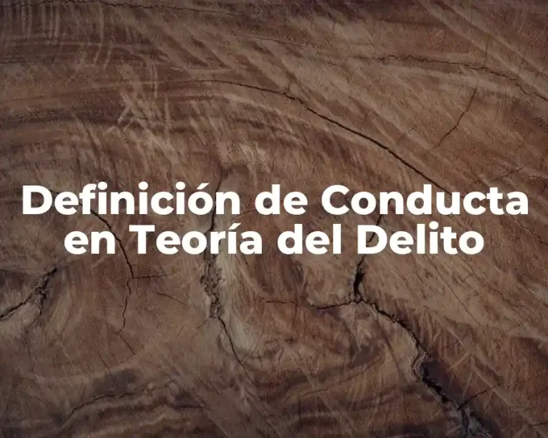 Definición de Conducta en Teoría del Delito