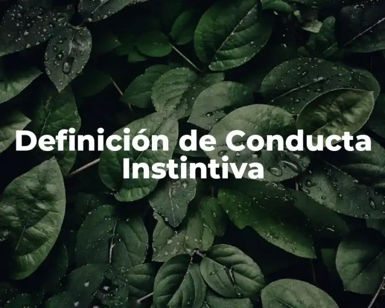 Definición de Conducta Instintiva