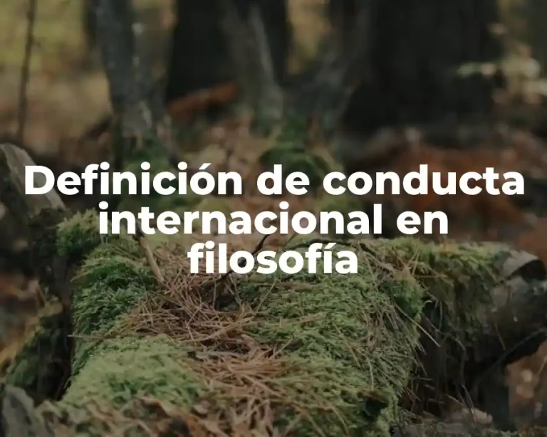 Definición de conducta internacional en filosofía