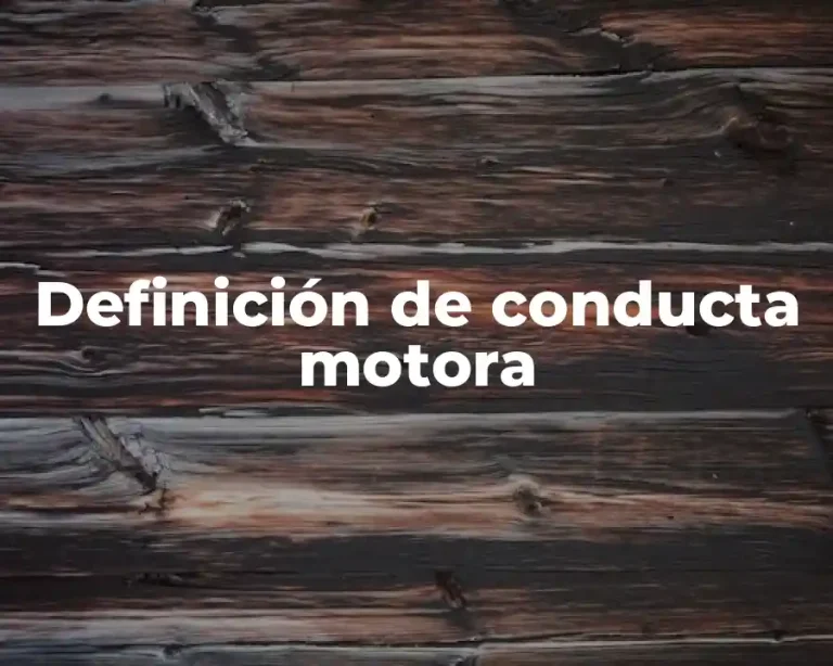 Definición de conducta motora