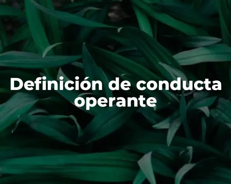 Definición de conducta operante