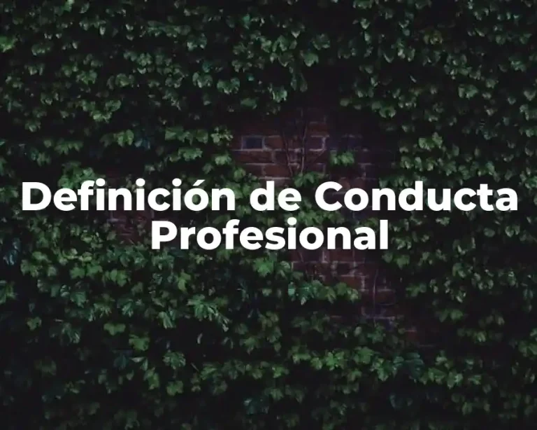 Definición de Conducta Profesional