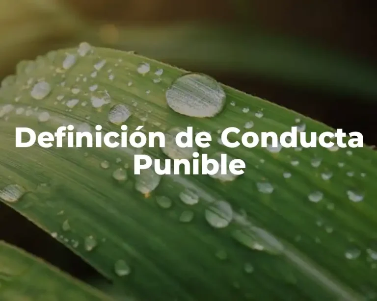 Definición de Conducta Punible