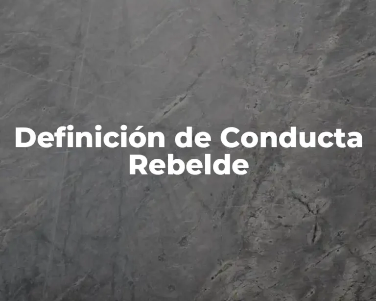 Definición de Conducta Rebelde