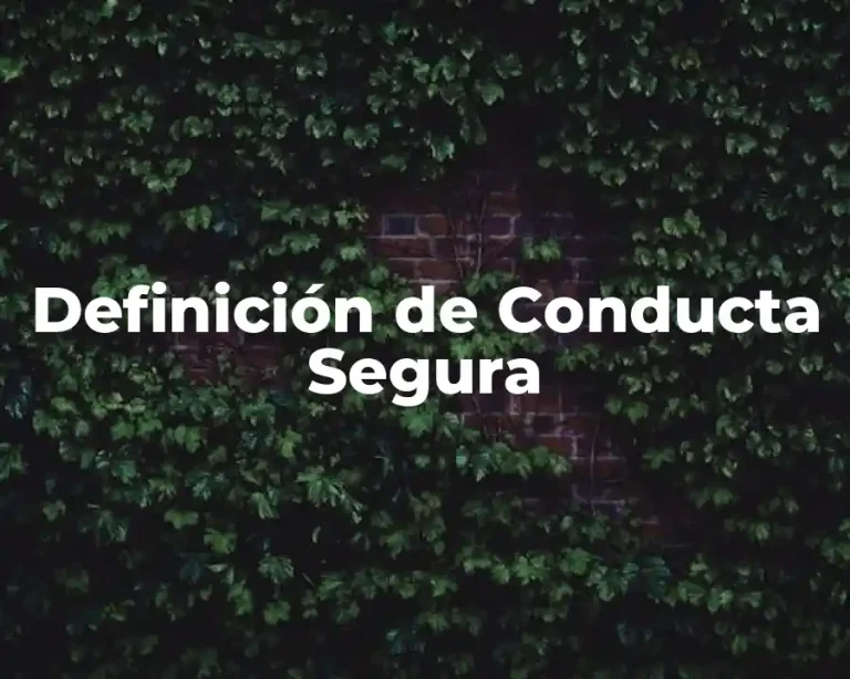 Definición de Conducta Segura