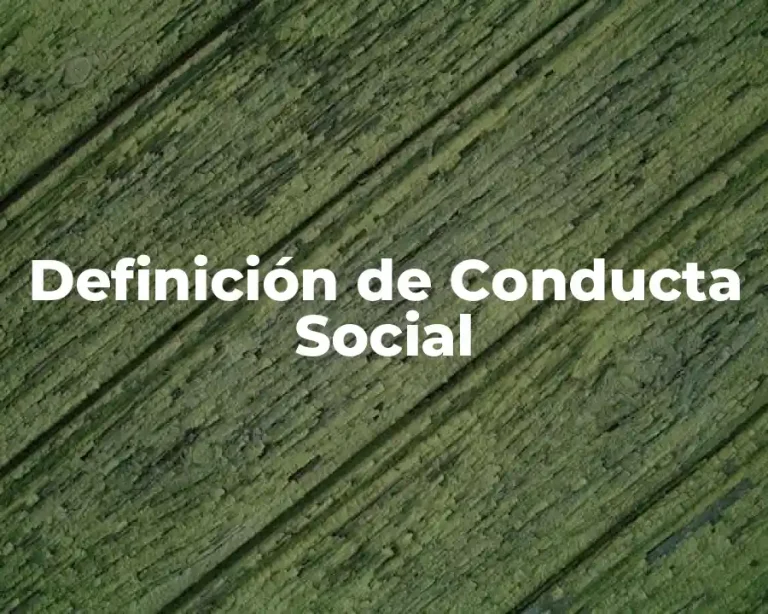 Definición de Conducta Social