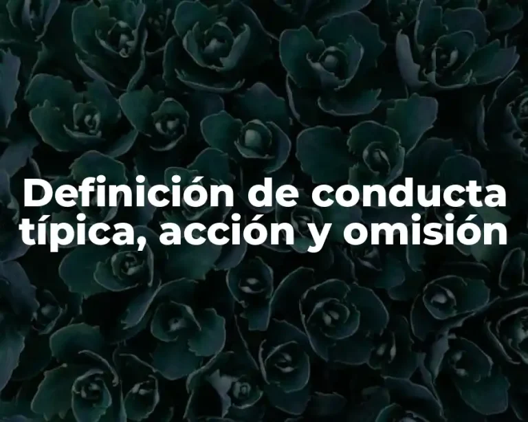 Definición de conducta típica, acción y omisión