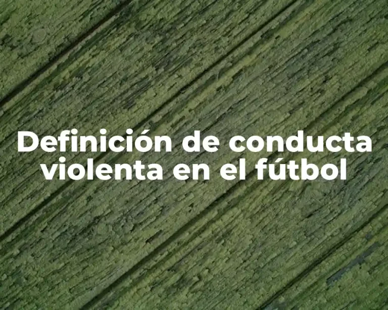 Definición de conducta violenta en el fútbol