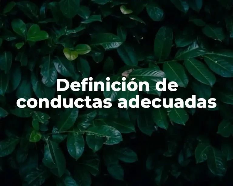 Definición de conductas adecuadas