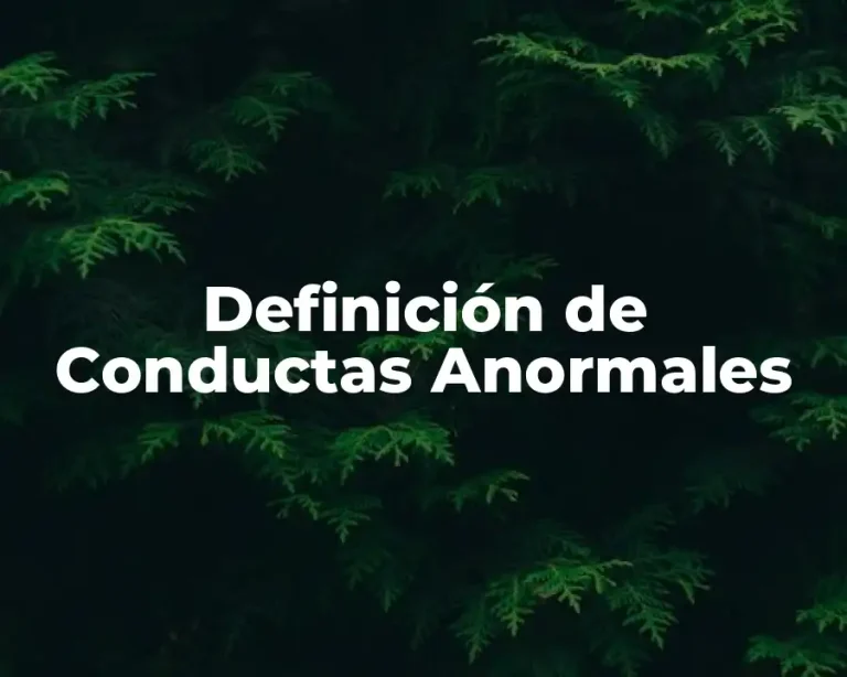 Definición de Conductas Anormales