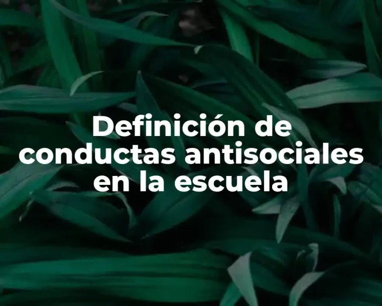 Definición de conductas antisociales en la escuela