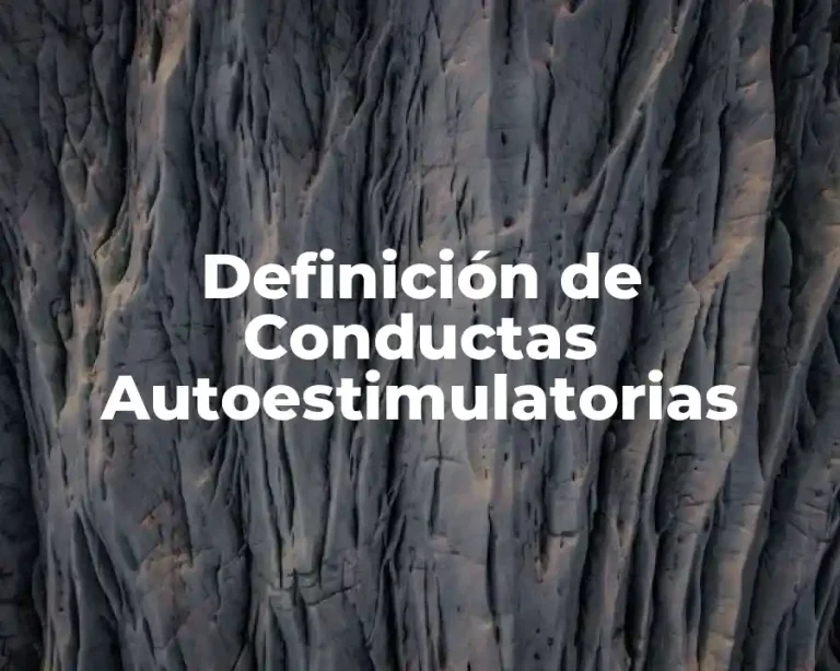 Definición de Conductas Autoestimulatorias