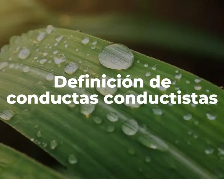 Definición de conductas conductistas