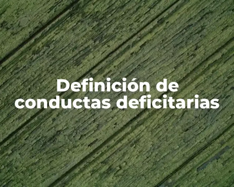 Definición de conductas deficitarias