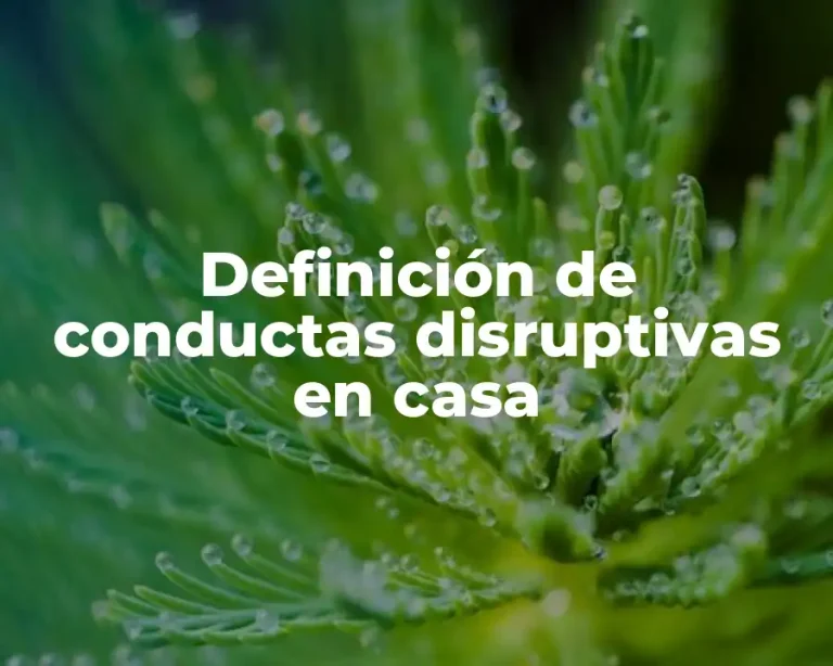 Definición de conductas disruptivas en casa