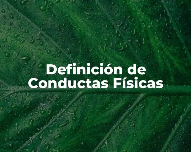 Definición de Conductas Físicas