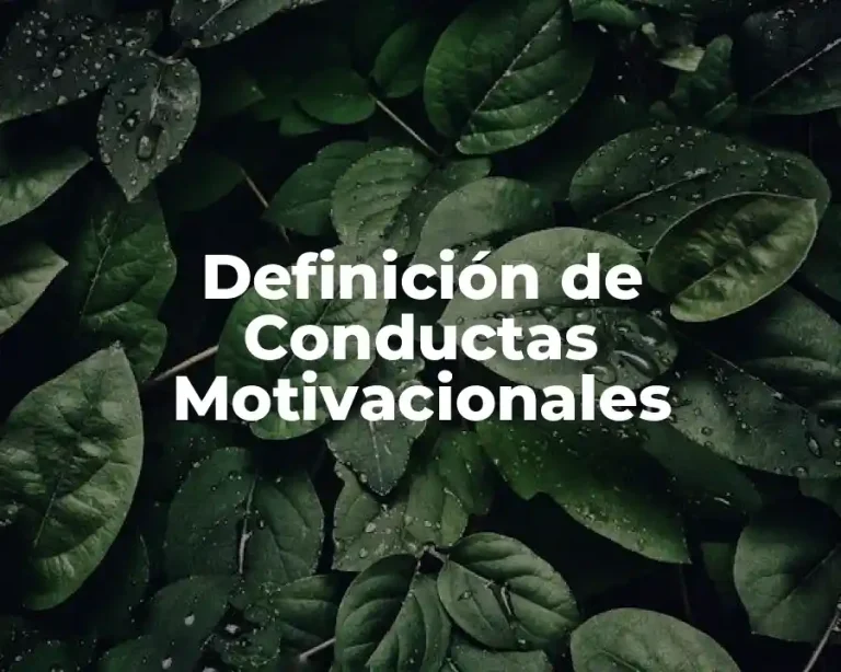 Definición de Conductas Motivacionales