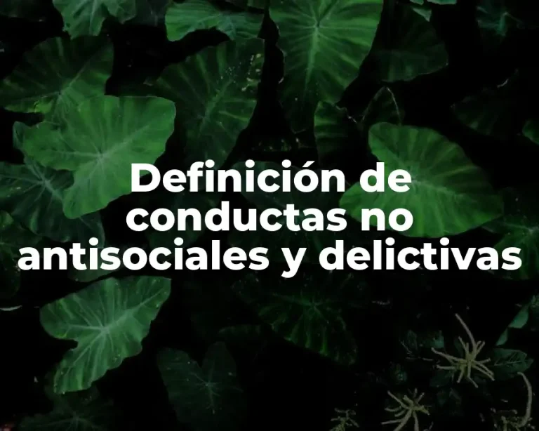 Definición de conductas no antisociales y delictivas