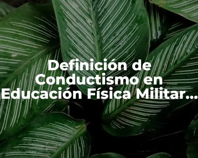 Definición de Conductismo en Educación Física Militar y Higienista