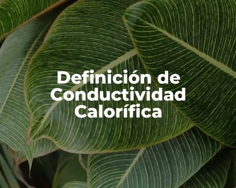 Definición de Conductividad Calorífica