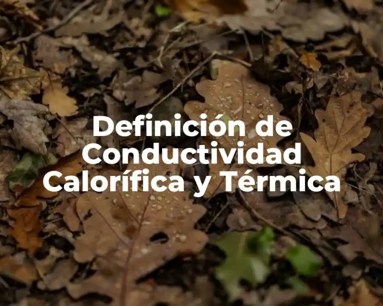 Definición de Conductividad Calorífica y Térmica