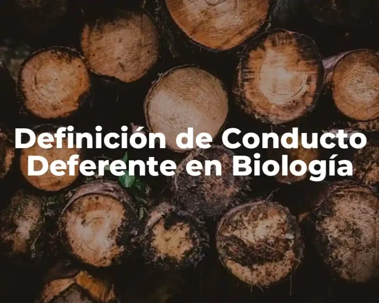 Definición de Conducto Deferente en Biología