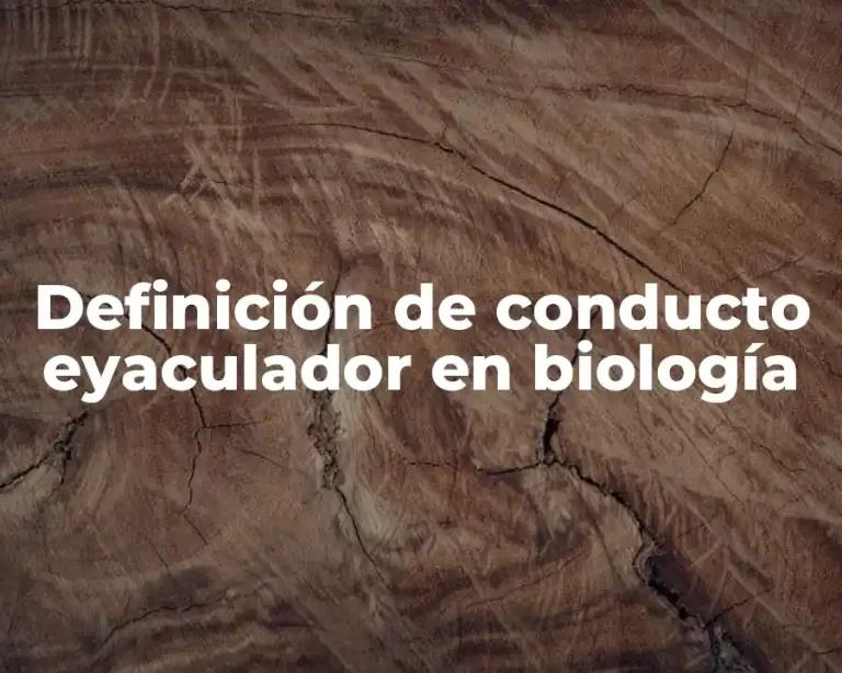 Definición de conducto eyaculador en biología