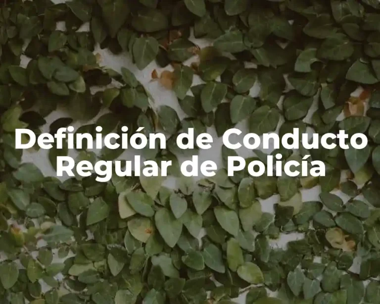 Definición de Conducto Regular de Policía
