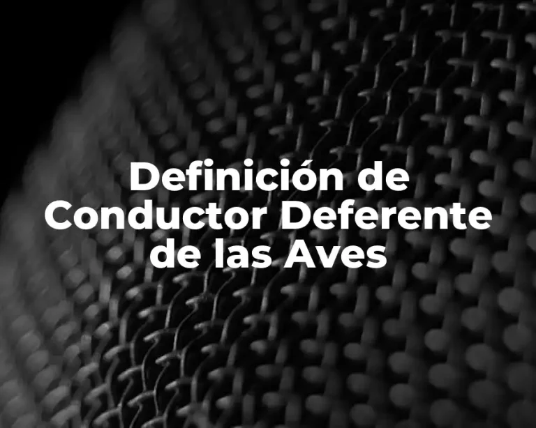 Definición de Conductor Deferente de las Aves