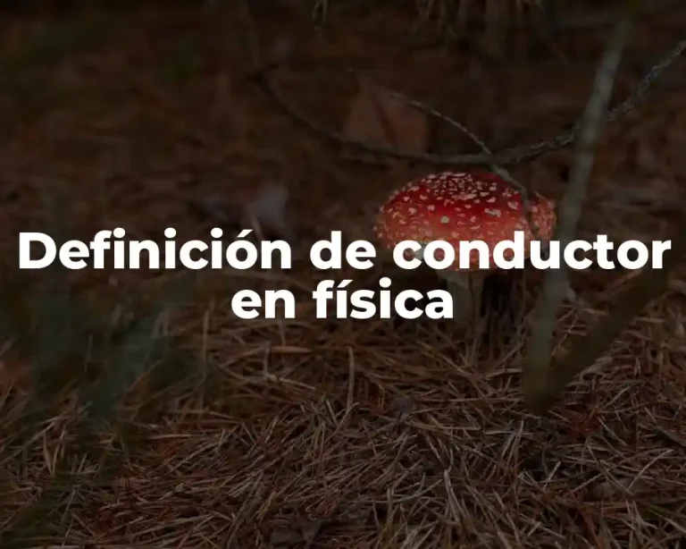 Definición de conductor en física
