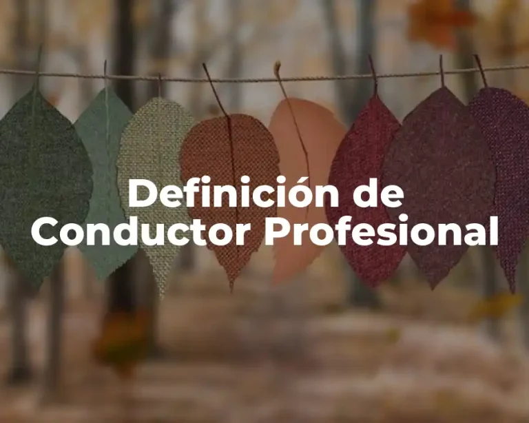 Definición de Conductor Profesional