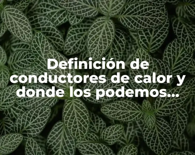 Definición de conductores de calor y donde los podemos encontrar