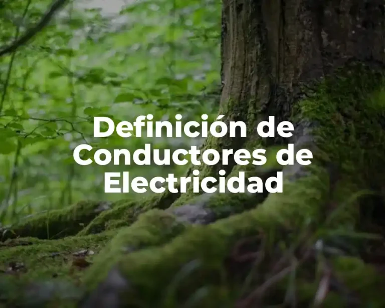 Definición de Conductores de Electricidad