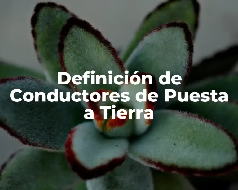 Definición de Conductores de Puesta a Tierra
