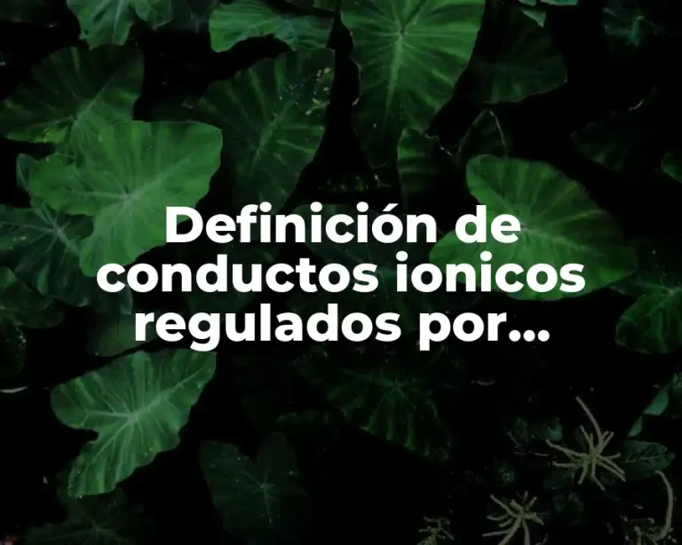 Definición de conductos ionicos regulados por distenson
