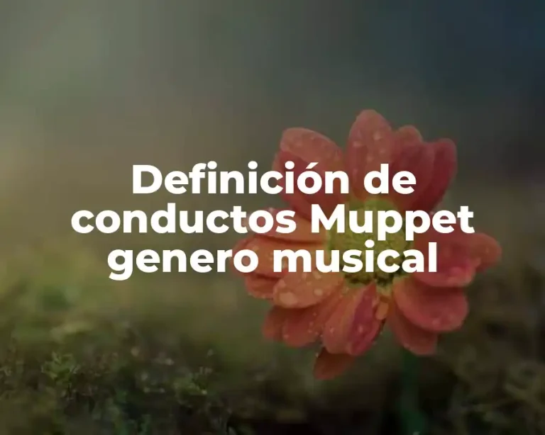 Definición de conductos Muppet genero musical