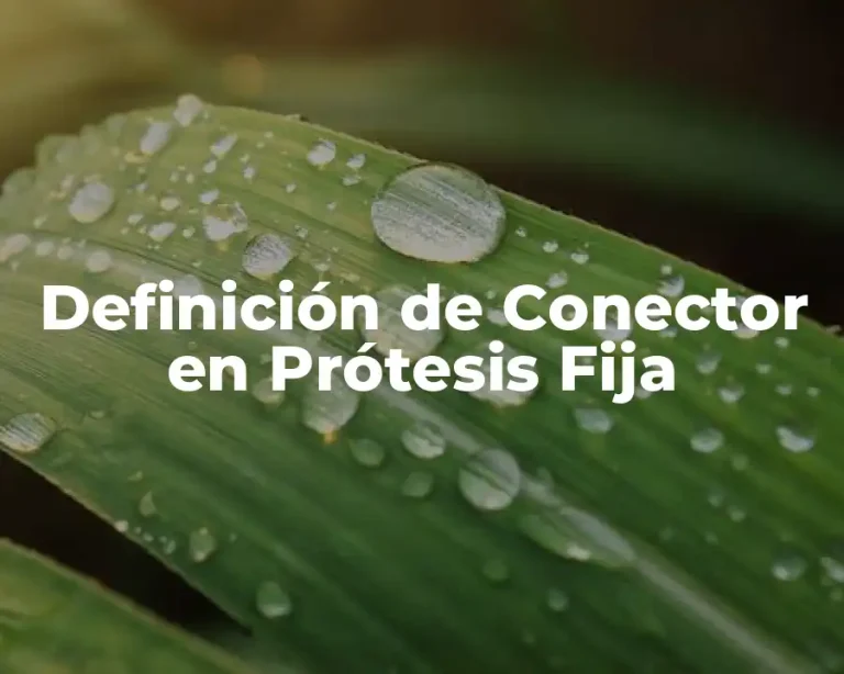 Definición de Conector en Prótesis Fija
